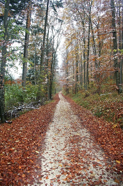 Raichberg 2007 Bild 38